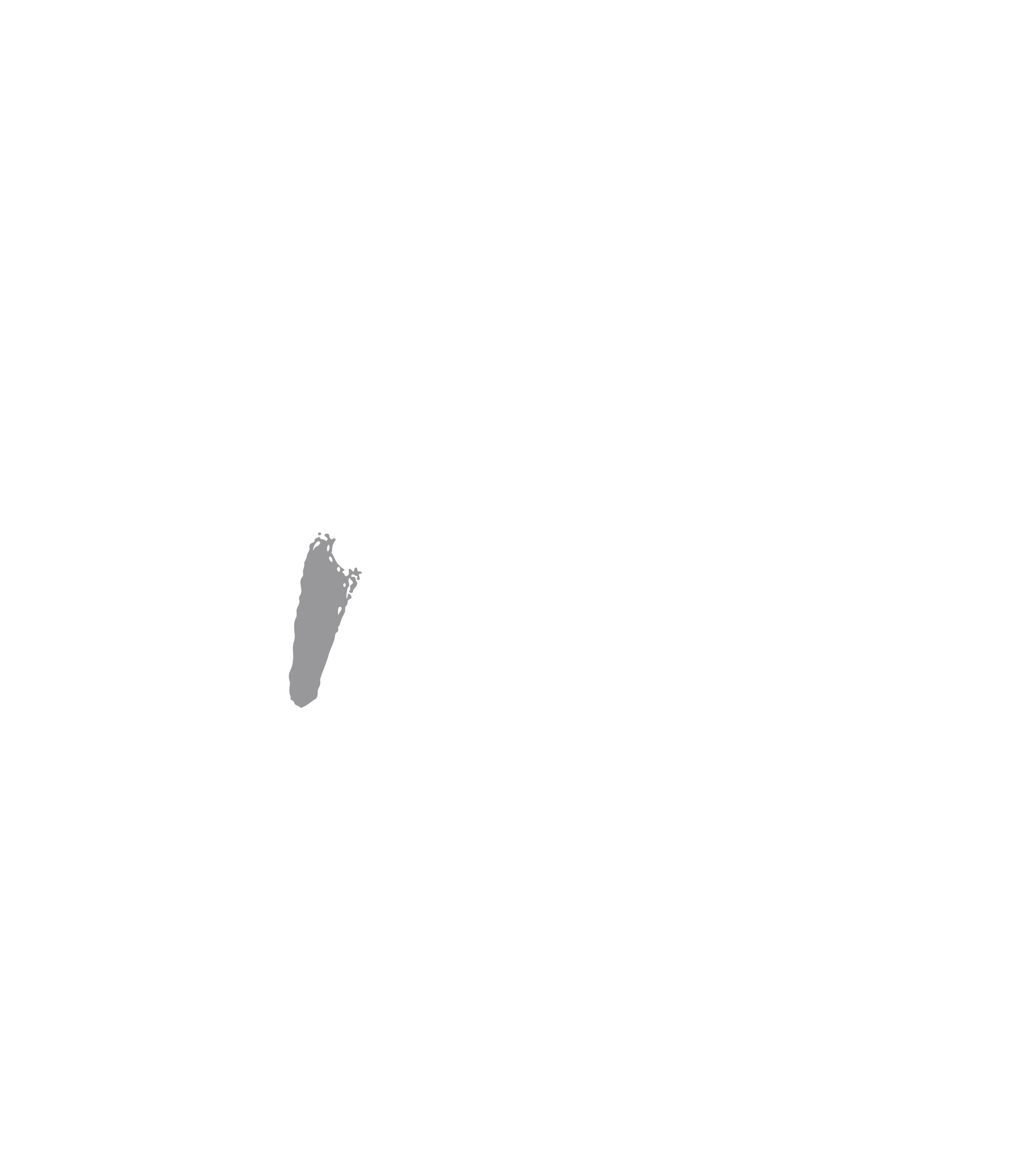 War Dog